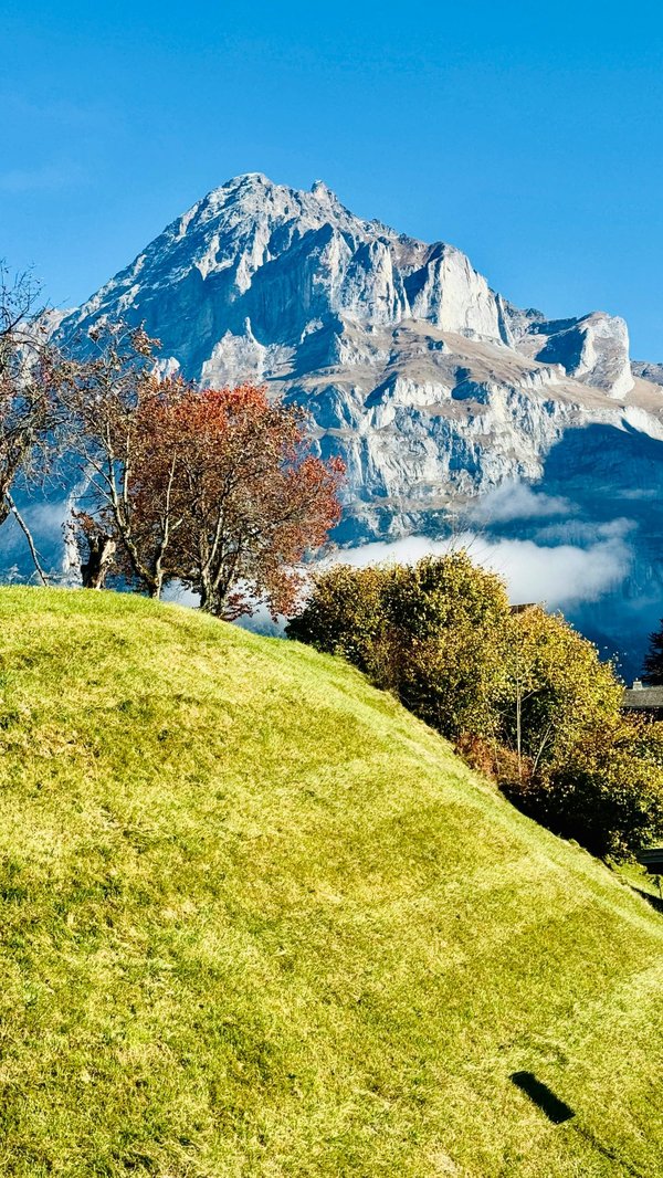 Discover customizable holiday packages in Swiss ski paradise